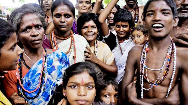 ADIVASI HAKKI PIKKI HAIR OIL